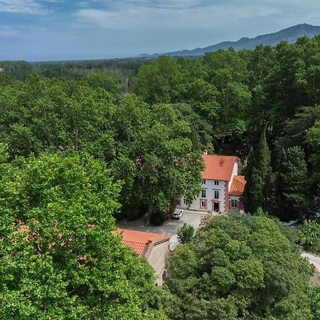 לינה וארוחת בוקר Saint-Génis Domaine Castell De Bles מראה חיצוני תמונה