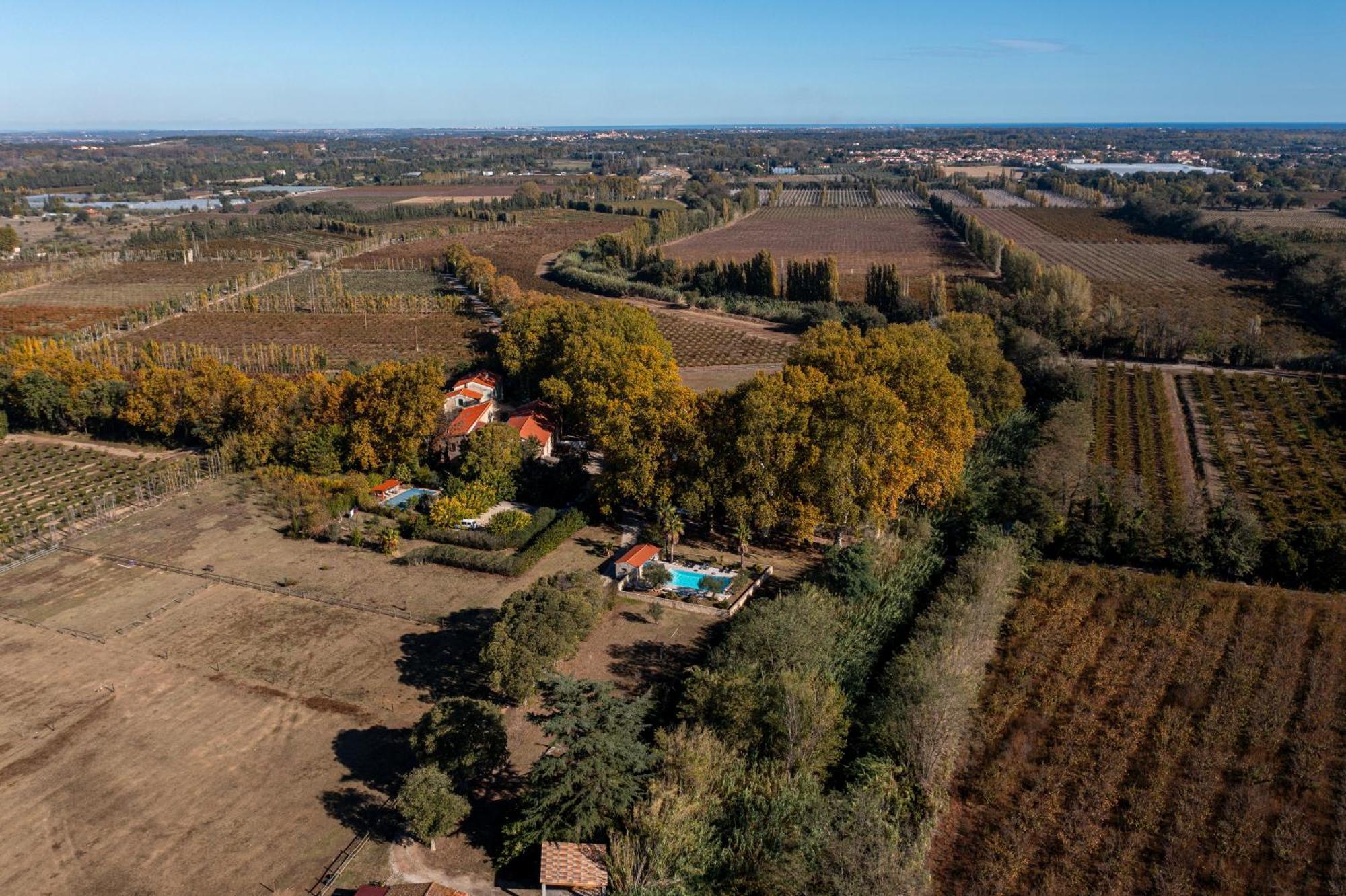 לינה וארוחת בוקר Saint-Génis Domaine Castell De Bles מראה חיצוני תמונה