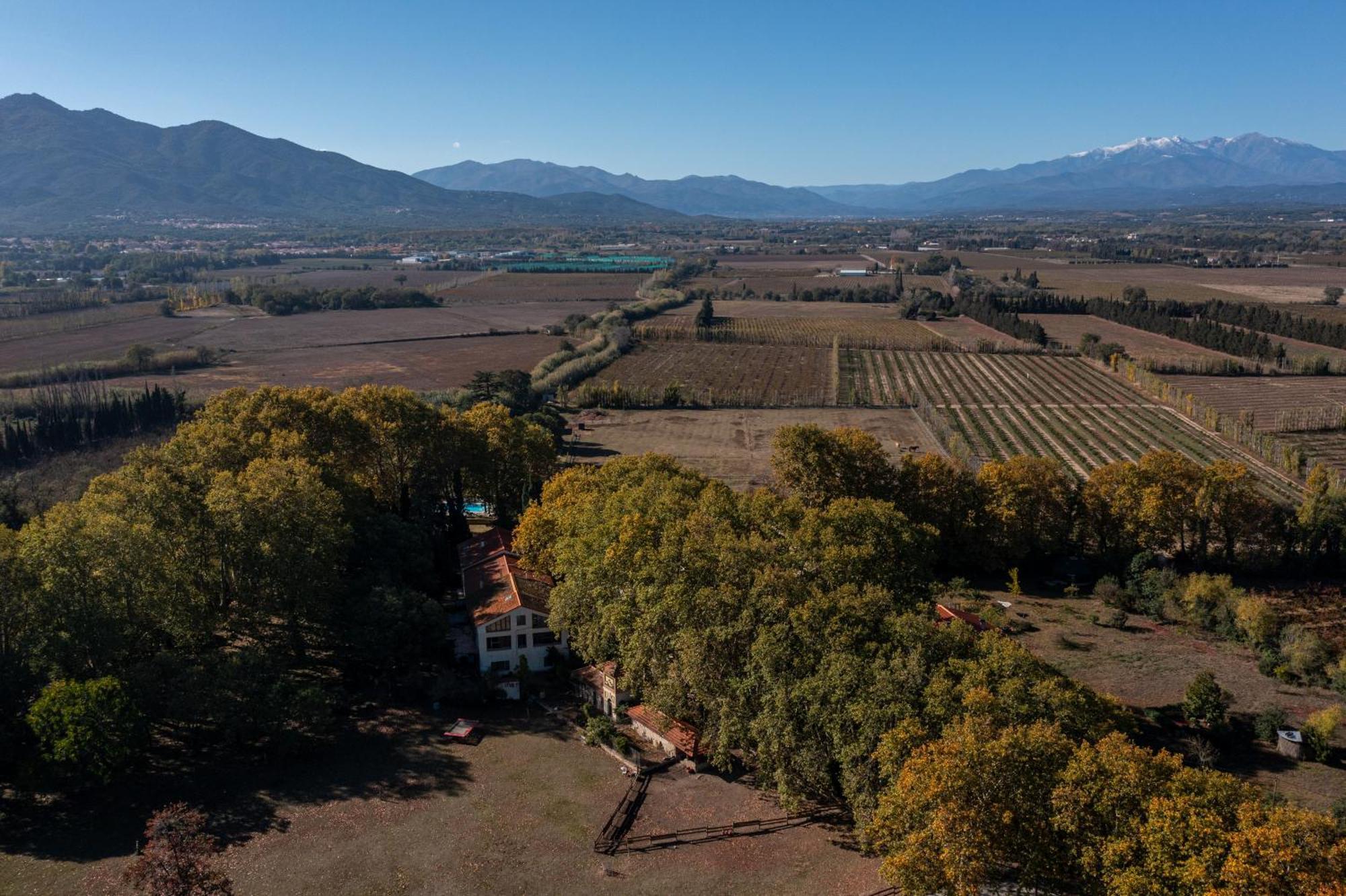 לינה וארוחת בוקר Saint-Génis Domaine Castell De Bles מראה חיצוני תמונה