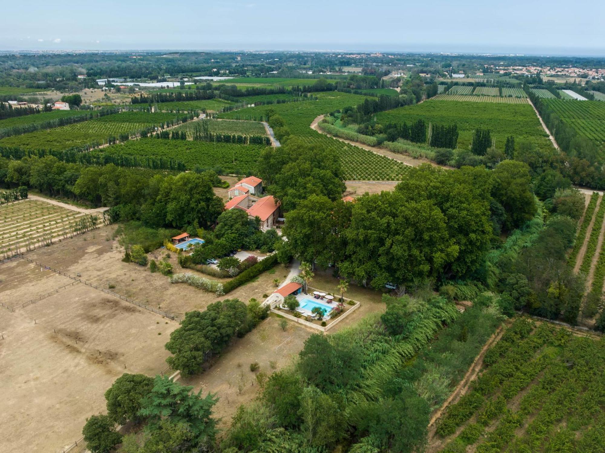 לינה וארוחת בוקר Saint-Génis Domaine Castell De Bles מראה חיצוני תמונה