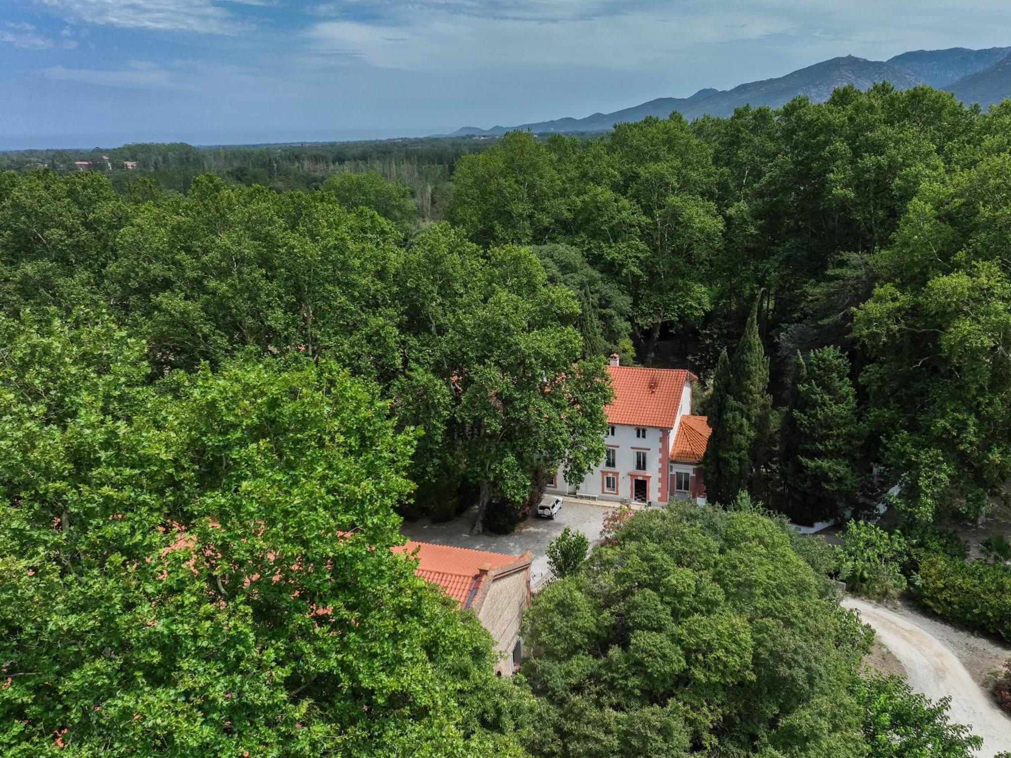 לינה וארוחת בוקר Saint-Génis Domaine Castell De Bles מראה חיצוני תמונה